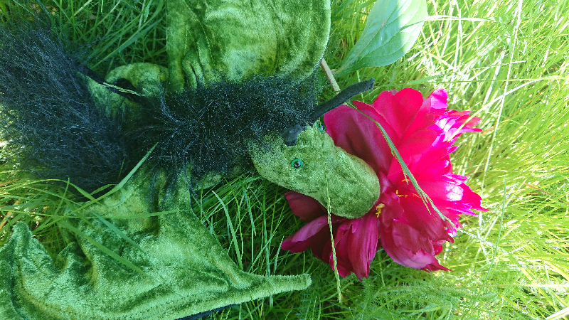 DSC 0601